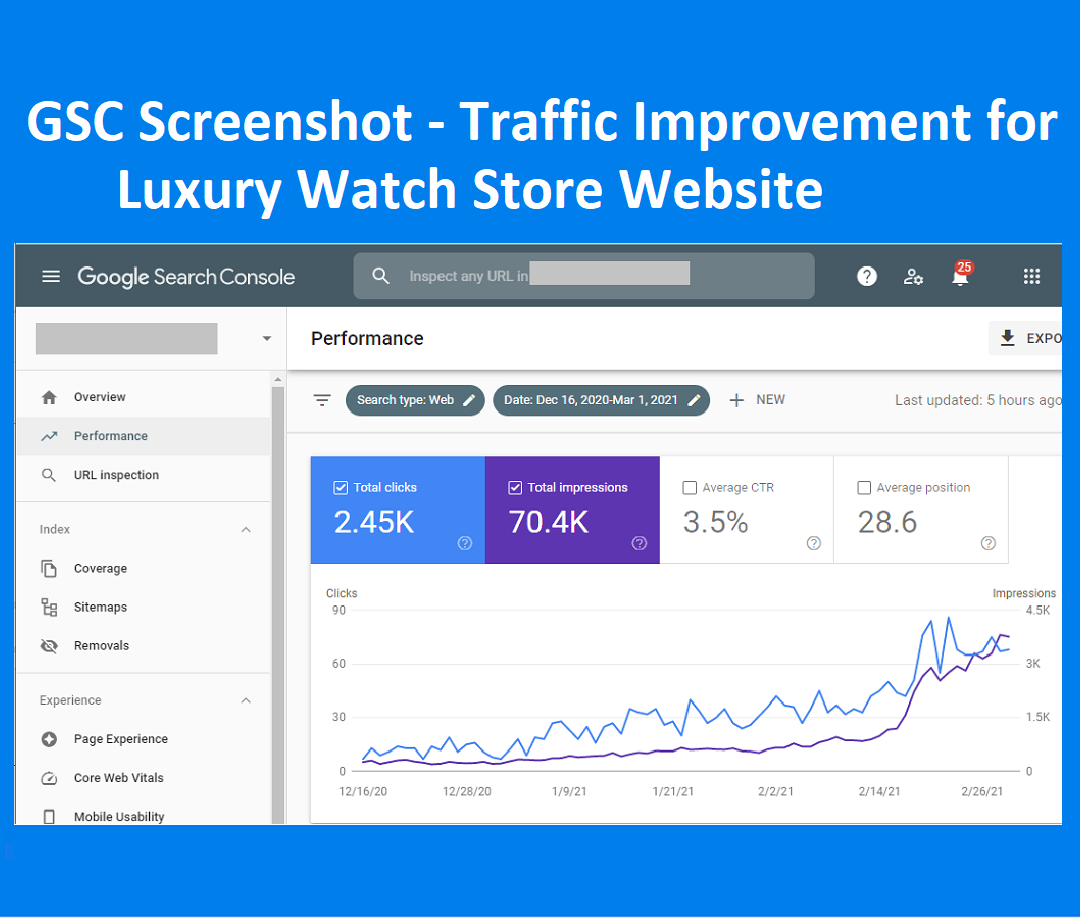 Traffic-Improvement-Luxury-Watch-Website